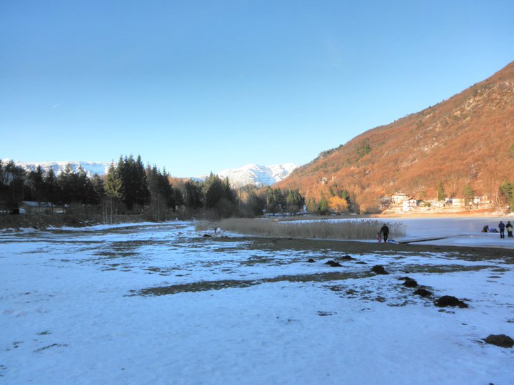 lagole